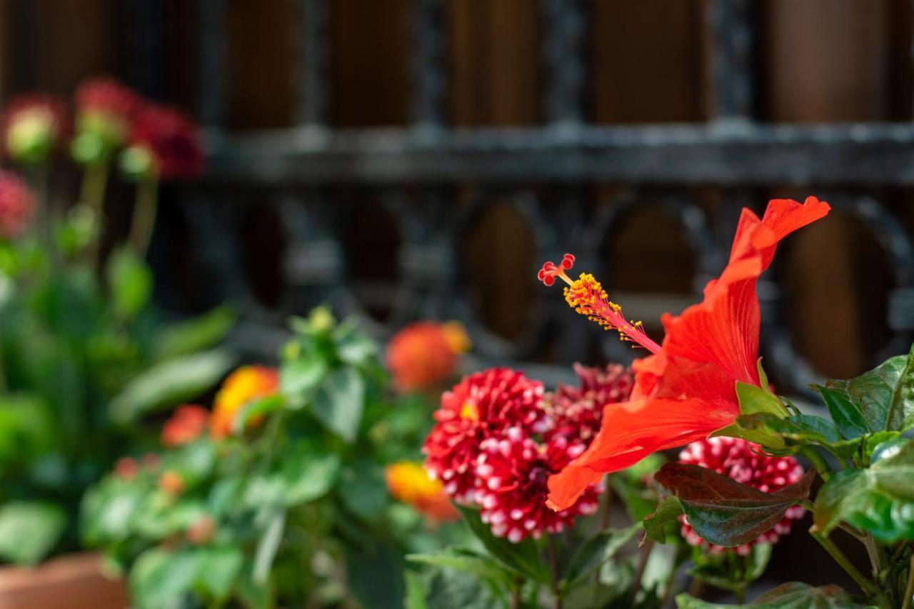 Flores Hotel Alaçatı Buitenkant foto