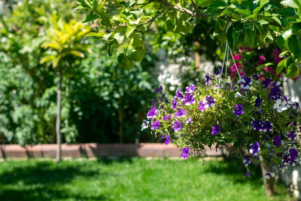 Flores Hotel Alaçatı Buitenkant foto